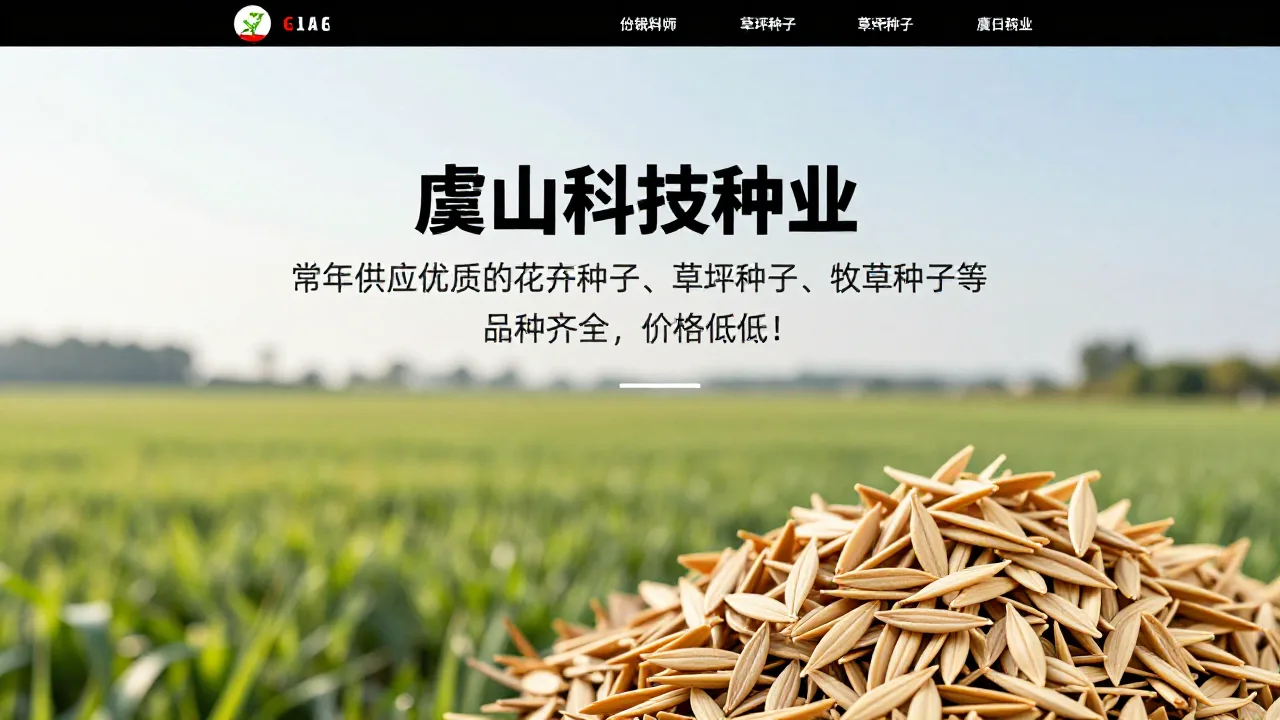 烟台华腾网络科技